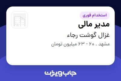  استخدام مدیر مالی در غزال گوشت رجاء
