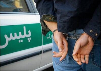  سرقت از قطعات ۲۳ و ۲۴ مسکن مهر سمنان؛ ۲ متهم دستگیر شدند