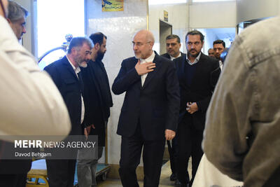 اجلاس کمیته دائمی امور سیاسی مجمع‌المجالس آسیایی در مشهد