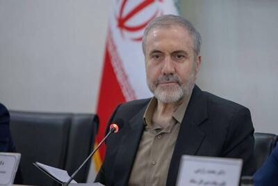  دبیرکل ستاد مبارزه با مواد مخدر: ایران برای تأمین نیاز دارویی خود نیازی به کشت خشخاش ندارد