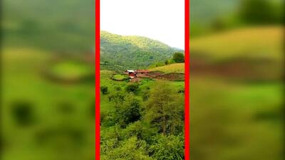  فیلم طبیعت شگفت‌انگیز جنگل سنگچال