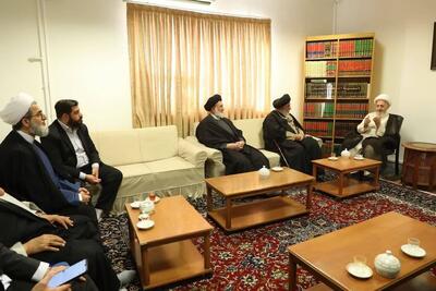  آیت الله سبحانی: بقاع متبرکه، دژ مستحکم حفظ معارف اسلامی هستند