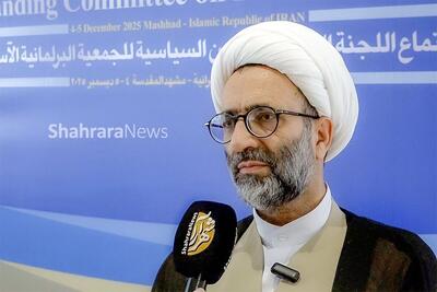  نماینده مجلس: با دیکتاتوری نوین مقابله می‌کنیم | آسیا در تحولات آینده نقش مهمی خواهد داشت