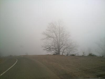  احتیاط کنید/ مه غلیظ صبحگاهی در محورهای چهارمحال و بختیاری