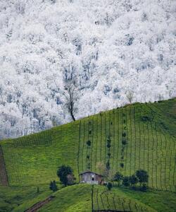  تقابل زمستان و بهار در منطقه املش