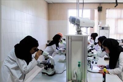  نامه‌ها و آرای جدید به نفع کارشناسان علوم آزمایشگاهی/ چرا عضویت محقق نمی‌شود؟