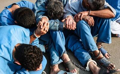  عوامل کانال تلگرامی معاند و ضد انقلاب «شکار مزدور» در مازندران دستگیر شدند