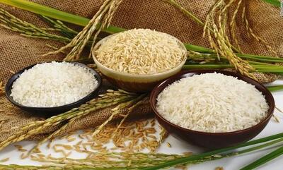  برنج پاکستانی و هندی با ارز آزاد به ترتیب کیلویی ۱۶۰ و ۱۳۵ هزار تومان عرضه می‌شود
