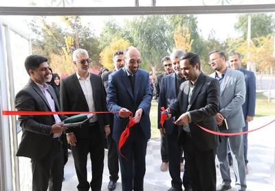 مرکز «شوق زندگی» یزد برای مدیریت آسیب‌های اجتماعی افتتاح شد - تسنیم