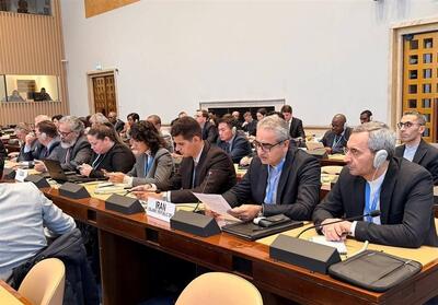  نمایندگی ایران در ژنو: تحریم‌ نابودکننده حق سلامت و توسعه است - تسنیم