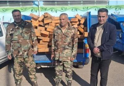  کشف 70 اصله چوب‌آلات جنگلی و دستگیری 2 قاچاقچی در اردبیل - تسنیم