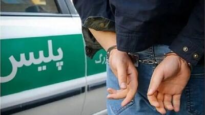  راز سرقت ۲۰ میلیاردی اکباتان فاش شد؛ داماد خانواده با پوشش چادری سارق از آب درآمد