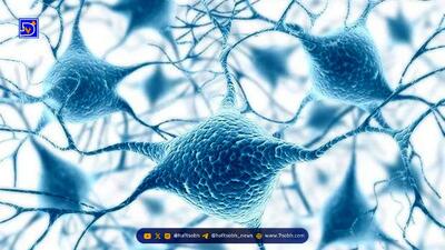  عجیب اما واقعی؛ دانشمندان سلول‌های پیر را دوباره جوان کردند!