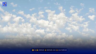  رنگ سال ۲۰۲۶ رسماً اعلام شد