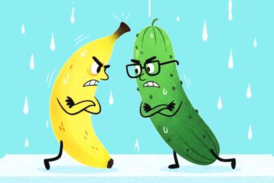 داستان نبرد میوه ها در یخچال: کی از همه مهم تر است؟