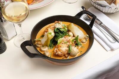 طرز تهیه خوراک مرغ فرانسوی با سس سفید و خامه