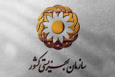  طرح ویژه بهزیستی برای حمایت از معلولان / تجهیزات توانبخشی  معلولان رایگان شد