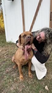 ثبت رکورد جهانی برای بلندترین زبان یک سگ