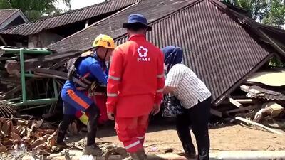 نجات گربه‌‌ای پس از یک هفته از زیر آوار