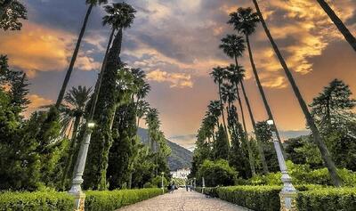  زیباترین خیابان های ایران را ببینید