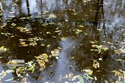  روند دمای قم تا یکشنبه افزایشی است/ سه‌شنبه احتمال بارش پراکنده