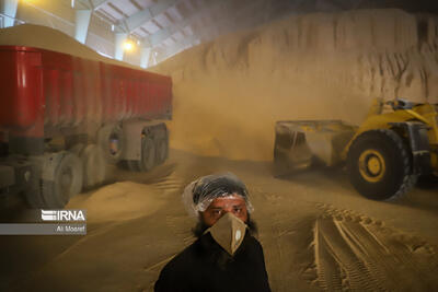 تخلیه ۳۳۰ هزار تن گندم در بندر امام خمینی‌(ره)