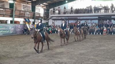  جشنواره ملی اسب نژاد کاسپین در بندر انزلی برگزار شد