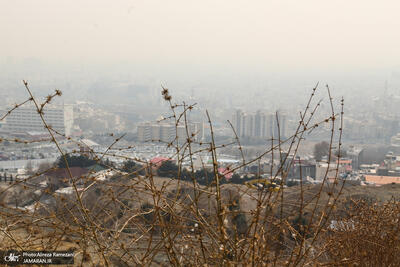 محافظت ویتامین C از سلول‌های ریه در برابر آسیب‌های آلودگی هوا