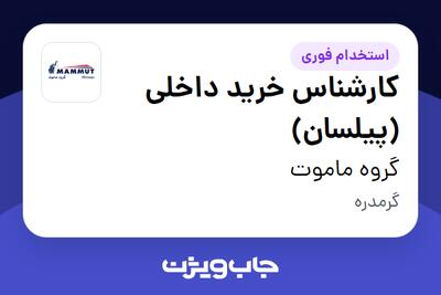  استخدام کارشناس خرید داخلی (پیلسان) در گروه ماموت