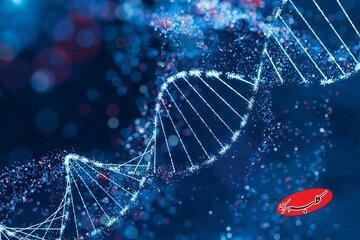  اولین دارو برای ترمیم DNA و بازسازی بافت آسیب‌دیده معرفی شد - کلبه سرگرمی