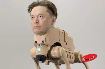 نمایش هنری عجیب: سگ‌های رباتیک با سر ایلان ماسک و مارک زاکربرگ! /عکس - کلبه سرگرمی