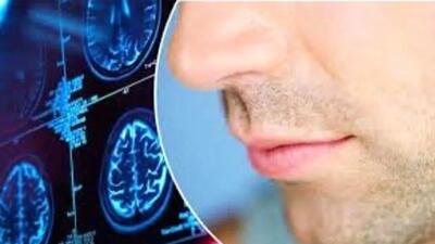  چرا کرونا بویایی را نابود می‌کند؟