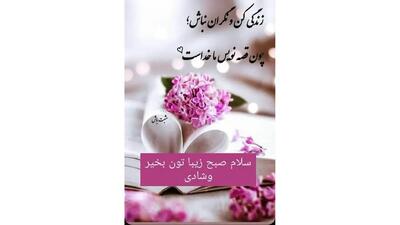  فال ابجد جمعه 14 آذر