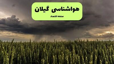  پیش بینی وضعیت آب و هوا گیلان فردا شنبه ۱۵ آذر ۱۴۰۴ + هواشناسی رشت