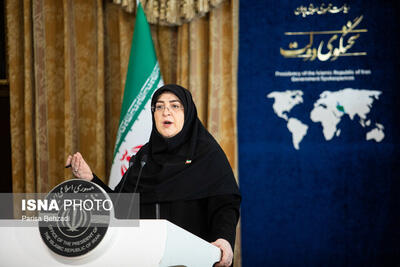 سخنگوی دولت: تاریخ دقیق اجرای اصلاح قیمت بنزین نهایی نشده است - سلام نو