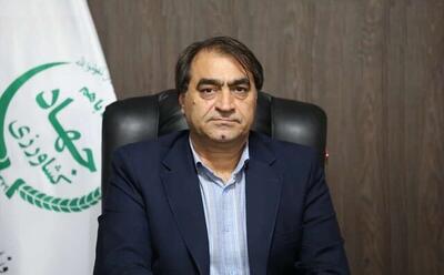 مرغداران نگران تأمین نهاده نباشند|توزیع خوراک دام و طیور با ارز دولتی