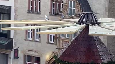 کبوترهای آلمانی از مراسم پیش از کریسمس در بازار هیلدسهایم لذت می‌برند