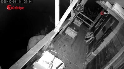  خرس دغل با بالارفتن از بالکن، کندوی عسل را پیدا کرد و دلی از عزا درآورد و روز بعد هم دوباره این کار را تکرار کرد