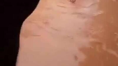  سریلانکا نه تنها با تلفات انسانی، بلکه با تلفات حیوانات نیز مواجه است