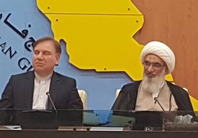  آیت‌الله صفایی بوشهری: مادران شهدا ستون‌های استوار نظام اسلامی هستند - تسنیم