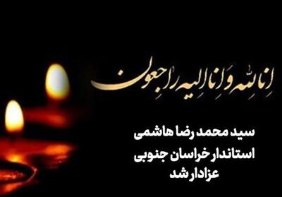 استاندار خراسان جنوبی عزادار شد - تسنیم