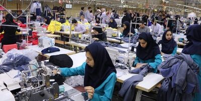 استقبال مردم از تاسیس تعاونی‌های تولیدی/استفاده از ظرفیت تعاونی‌ها در تامین گوشت و مرغ