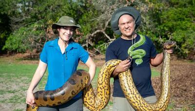 غولی که هرگز کوچک نشد؛ اندازه مار آناکوندا از ۱۲ میلیون سال پیش ثابت مانده است