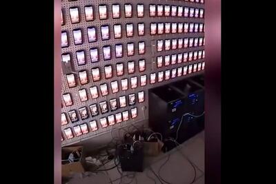  کشف مزرعه بزرگ افزایش بازدید یوتیوب در برزیل (فیلم)