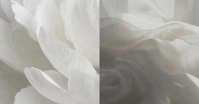  چگونه رنگ سال ۲۰۲۶ را در استایل شخصی به کار ببریم؟