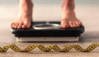 کاهش چربی شکم با مصرف دنبه گوسفندی؟!