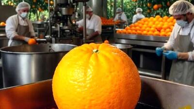 ماجرای پرتقال‌های رنگ شده شایعه بود یا حقیقت؟