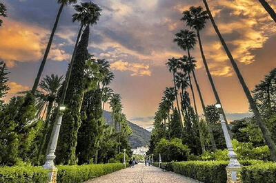 زیباترین خیابان‌های ایران که عاشقش می‌شوید