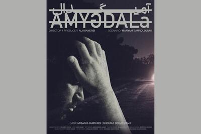 فیلم کوتاه «آمیگدال» آماده نمایش شد