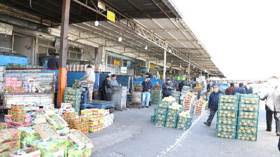 دلالان همه‌کاره بازار میوه هستند